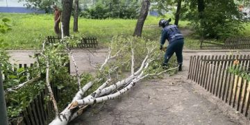 Более 40 обращений от жителей Ульяновска поступило из-за падения крупных веток