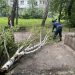 Более 40 обращений от жителей Ульяновска поступило из-за падения крупных веток