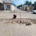 В Ульяновске проходят масштабные дорожные и благоустроительные работы
