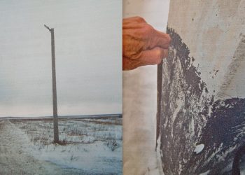 Сотрудник УИ ГА и директор фирмы ответят в суде за крупное мошенничество