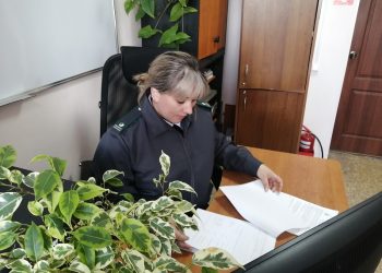 Россельхознадзор аннулировал декларации на 145 тыс. тонн зерна в Ульяновской области