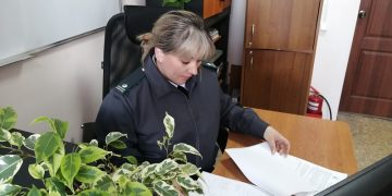 Россельхознадзор аннулировал декларации на 145 тыс. тонн зерна в Ульяновской области