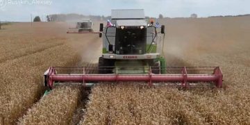 Ульяновская область начинает уборочную на площади более миллиона гектаров