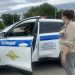 В Ульяновске усилили контроль за порядком в Винновской роще