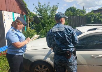 Житель Майнского района вернул долг после ареста «Гранты»