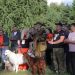 В Ульяновской области проходят учения поискового отряда «ЛизаАлерт» ПФО