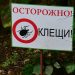 Рост активности клещей зафиксирован в Ульяновской области